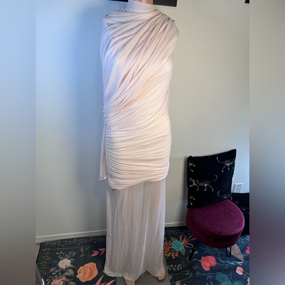 Deme by Gabriella Isla Dress in Baby Pink draped long sleeve sheer gown maxi - Picture 5 of 9